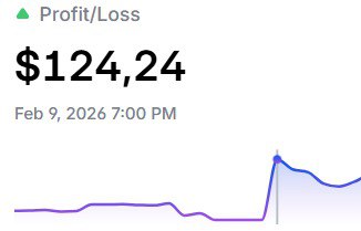 Polymarket profit loss 124 dollars February 9 2026